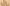 Körpersprache von Hund und Katze verstehen